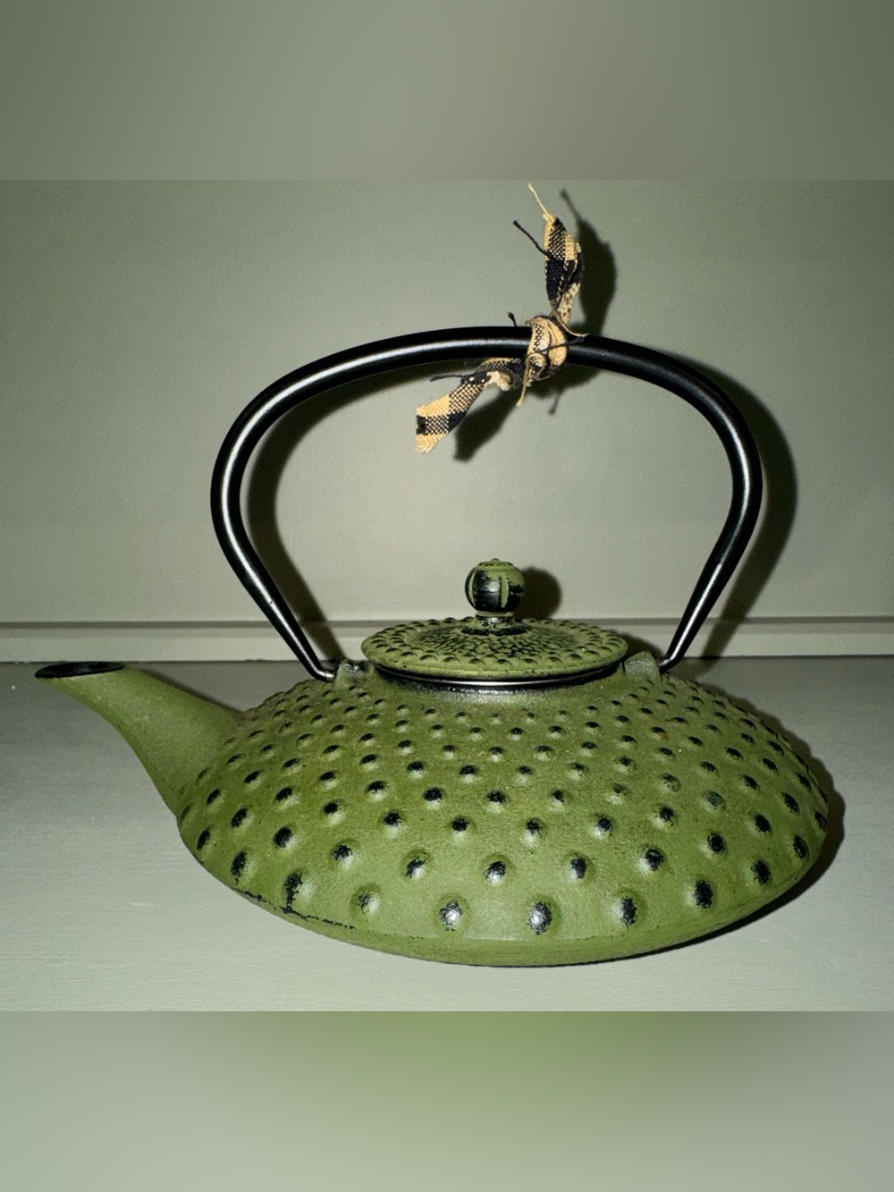 Bredemeijer Xilin Cast Iron Tea Pot